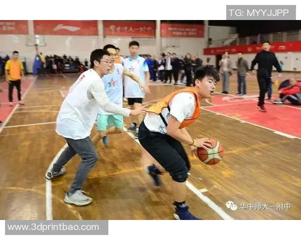 从零基础到篮球高手：团队协作与技巧全面提升指南