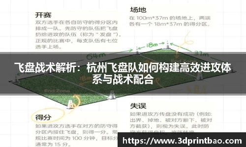 飞盘战术解析：杭州飞盘队如何构建高效进攻体系与战术配合