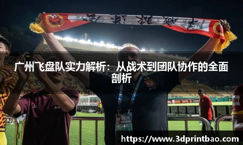 广州飞盘队实力解析：从战术到团队协作的全面剖析